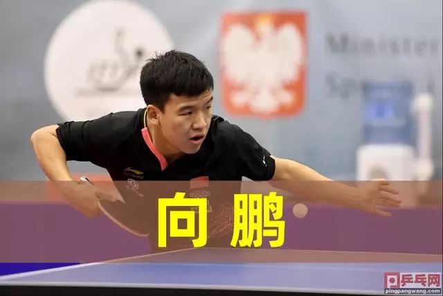 他们擅长在 他们擅长在