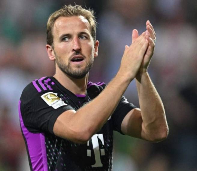 板钩球场馆 板钩球场馆